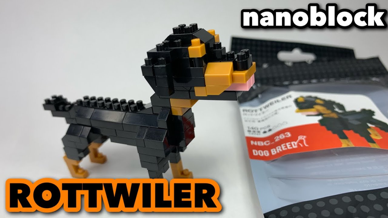nano block ROTTWILER DOG BREED NBC_263 speed build / ナノブロック ロットワイラー 犬 ブリード 組み立て 作り方