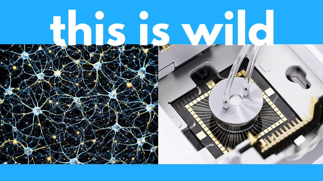 The Matrix is coming...