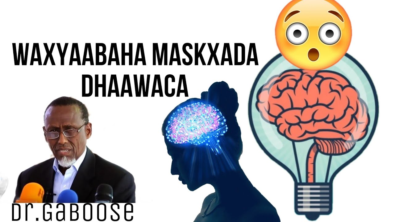 waxyaabaha Maskaxda dhaawaca iyo sida qalalku ku yimaado Dr.Gaboose @Dr.libansiyaad