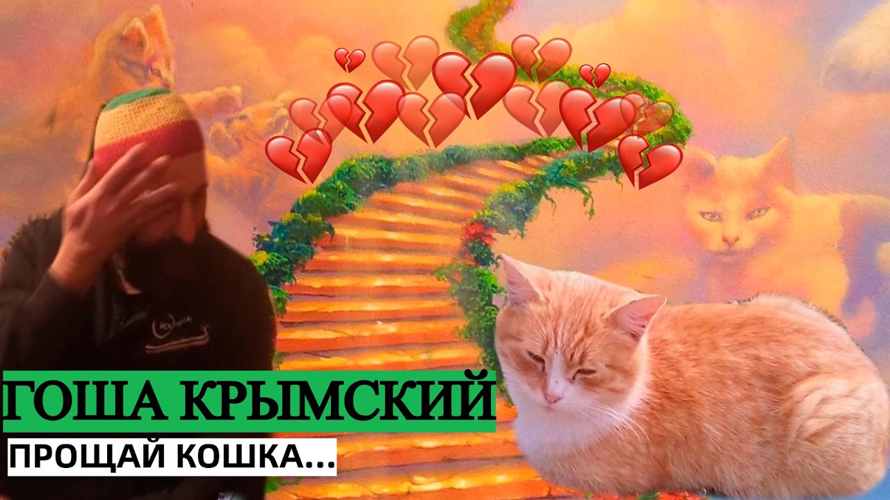 ГОША КРЫМСКИЙ | ПРОЩАЙ КОШКА...
