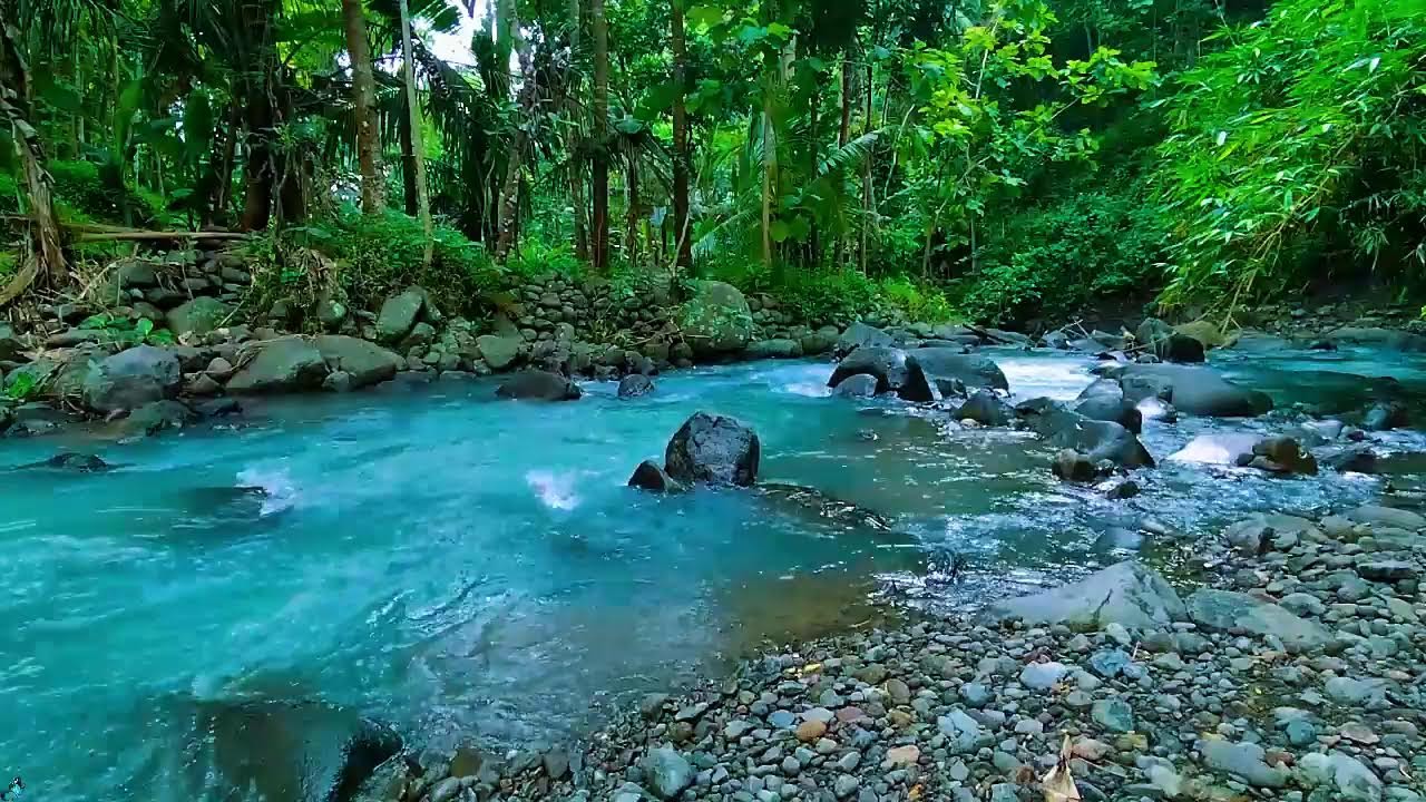Peaceful Morning River Sounds 🌲💧 Calm Water Sounds for Relax