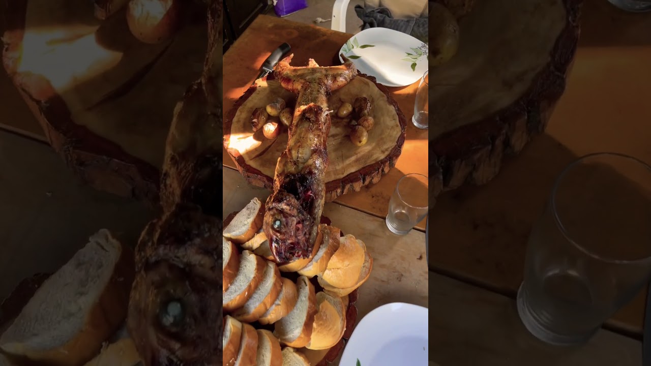 Zec na raznju i ispod saca #rabbitfood #rabbit #rabbits