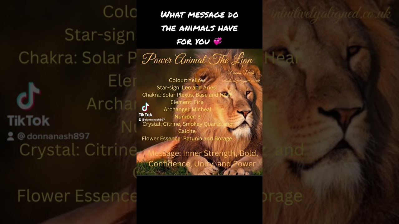 What animal message is waiting for you 💞#poweranimals #animalmessages #reflections #psychictarot