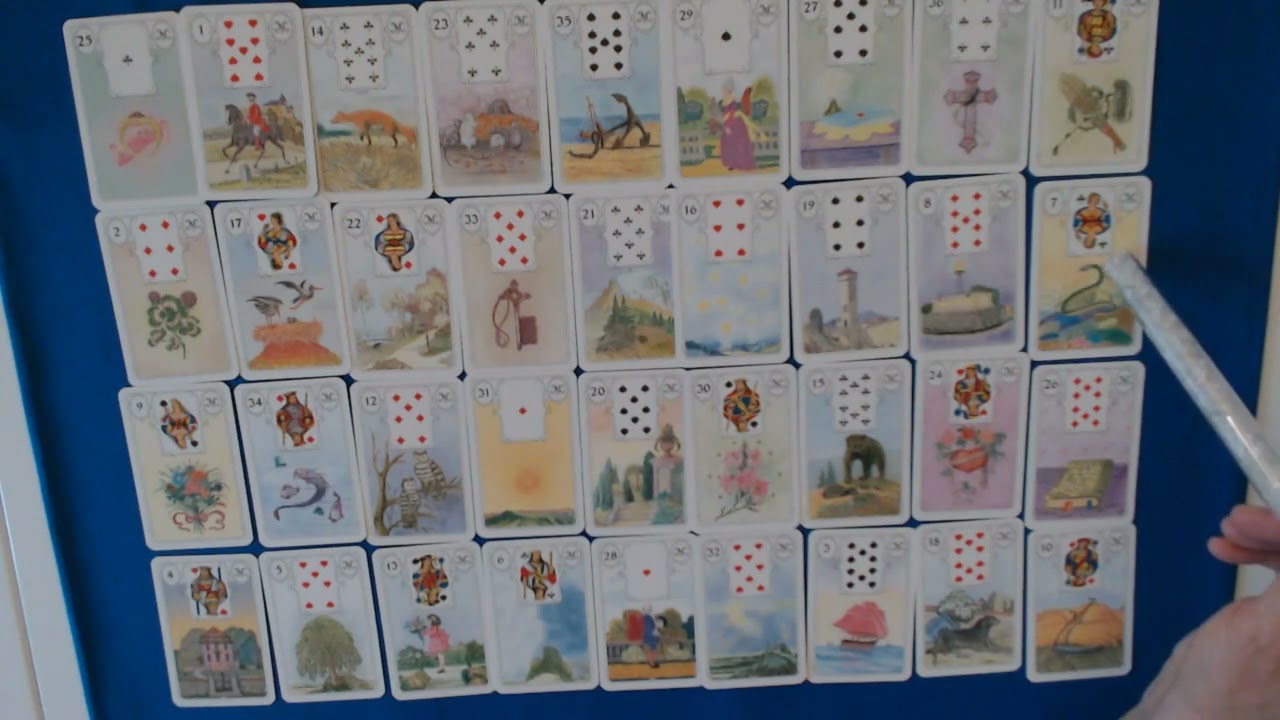 Widder Mai 2025