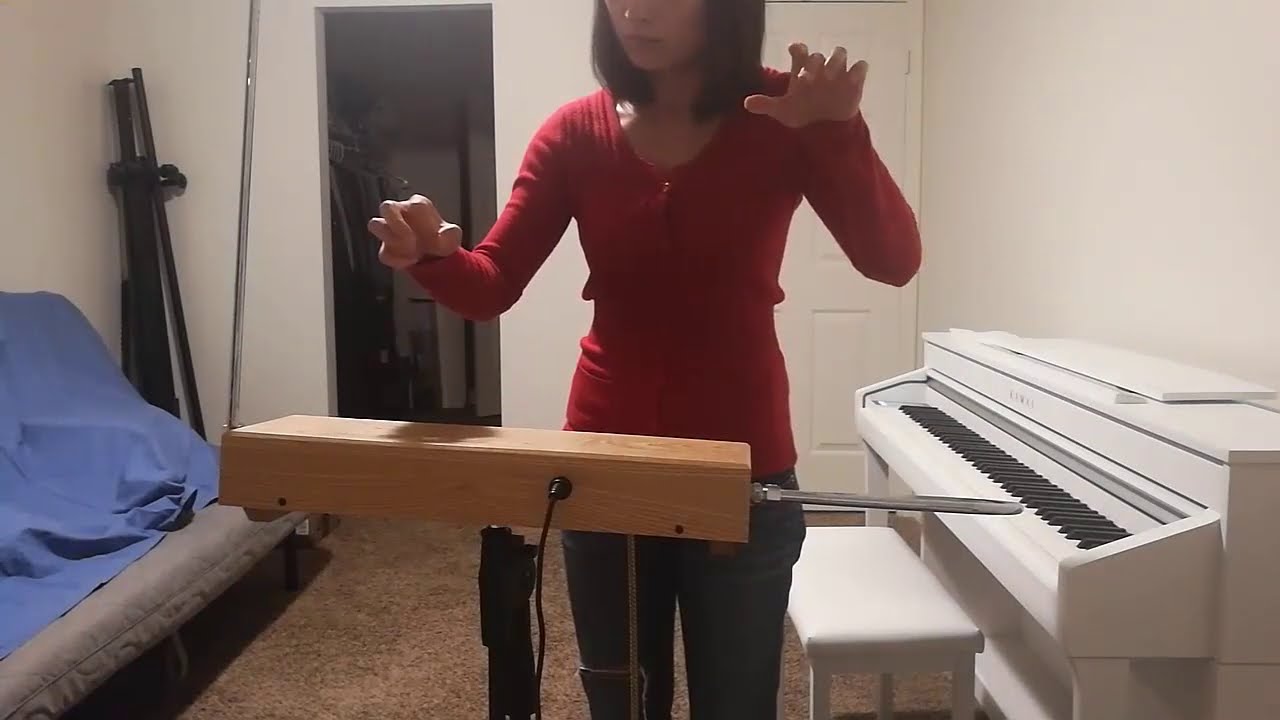 Star Trek Original Theme in Theremin