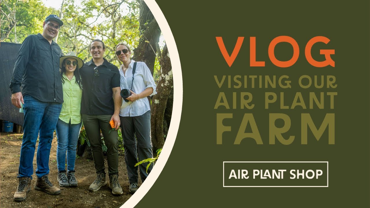Vlog | Visiting Our Air Plant Shop Farm