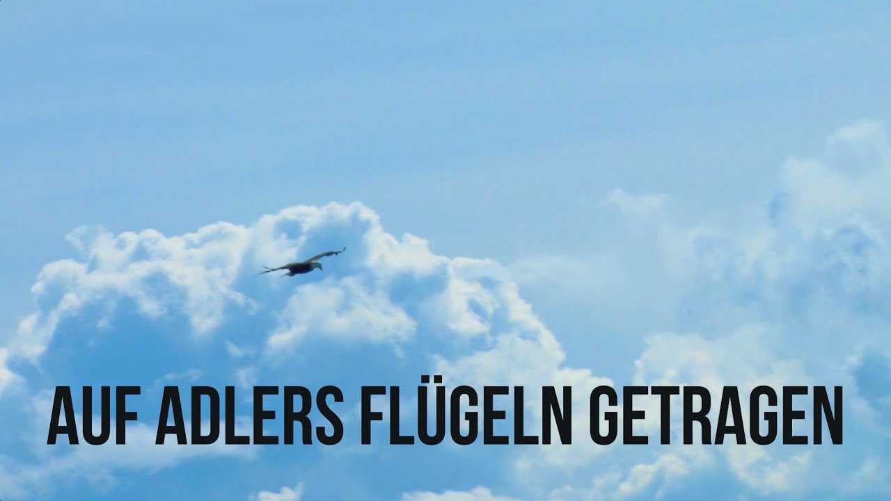 Auf Adlers Flügel getragen - zum Mitsingen