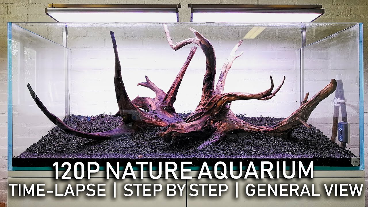 Time-lapse and general view of the NEW Aquaflora 120cm