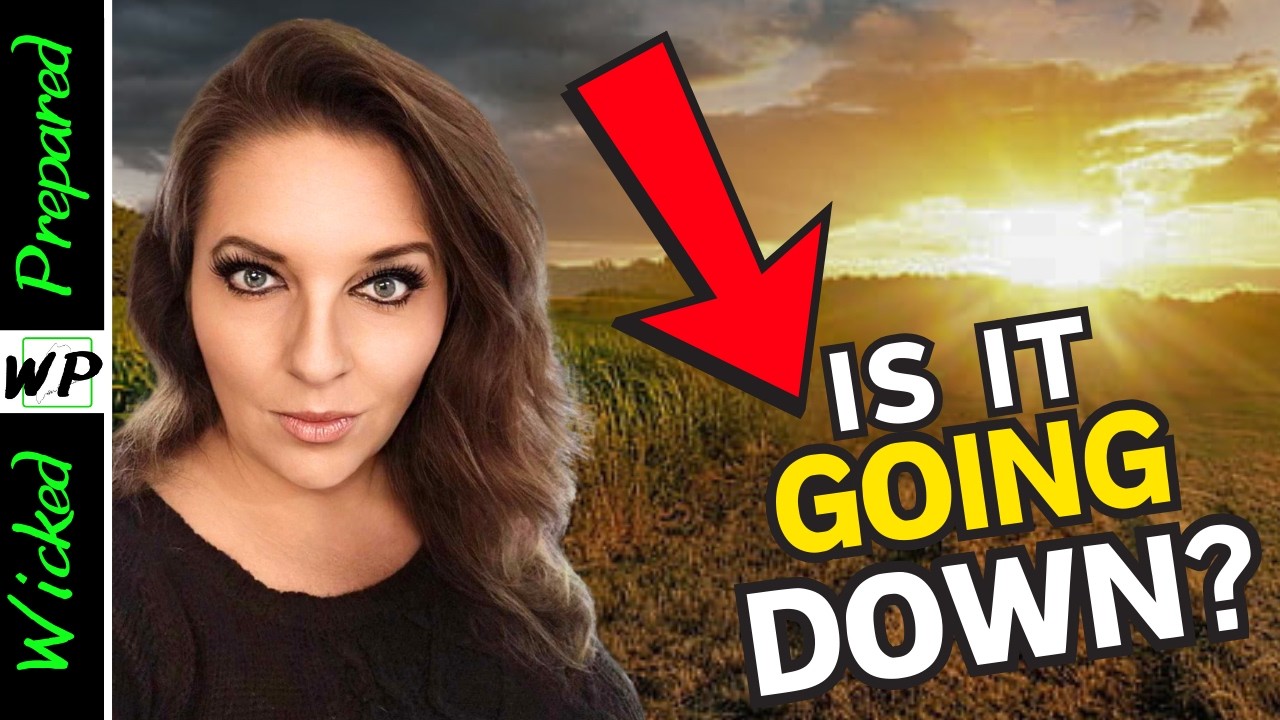 Prepper Pantry Haul: Stocking Up Before Things Go Down - SHTF 2024