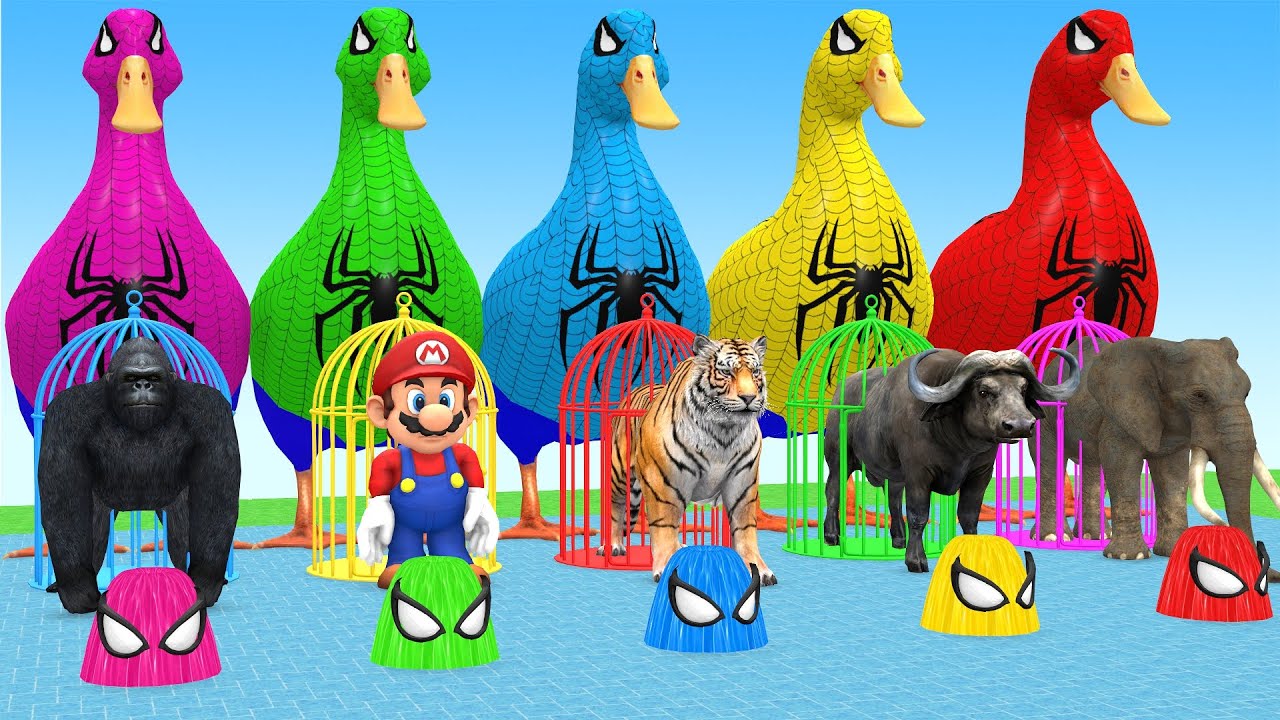 Long Slide Game With Cow Elephant Gorilla Hippopotamus Tiger 3d Animal Game Funny 3d Animals