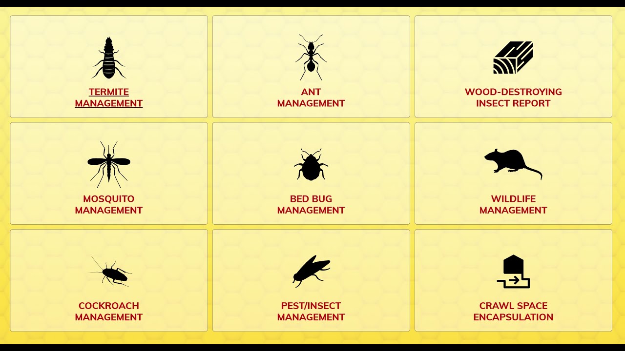 Rid-A-Bug Exterminating, Inc | Pest Control, Inspections & Wildlife Management