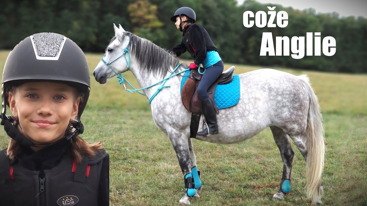 Adélka poprvé sedlá a jezdí Anglii ❤ Práce s mrzutým koněm