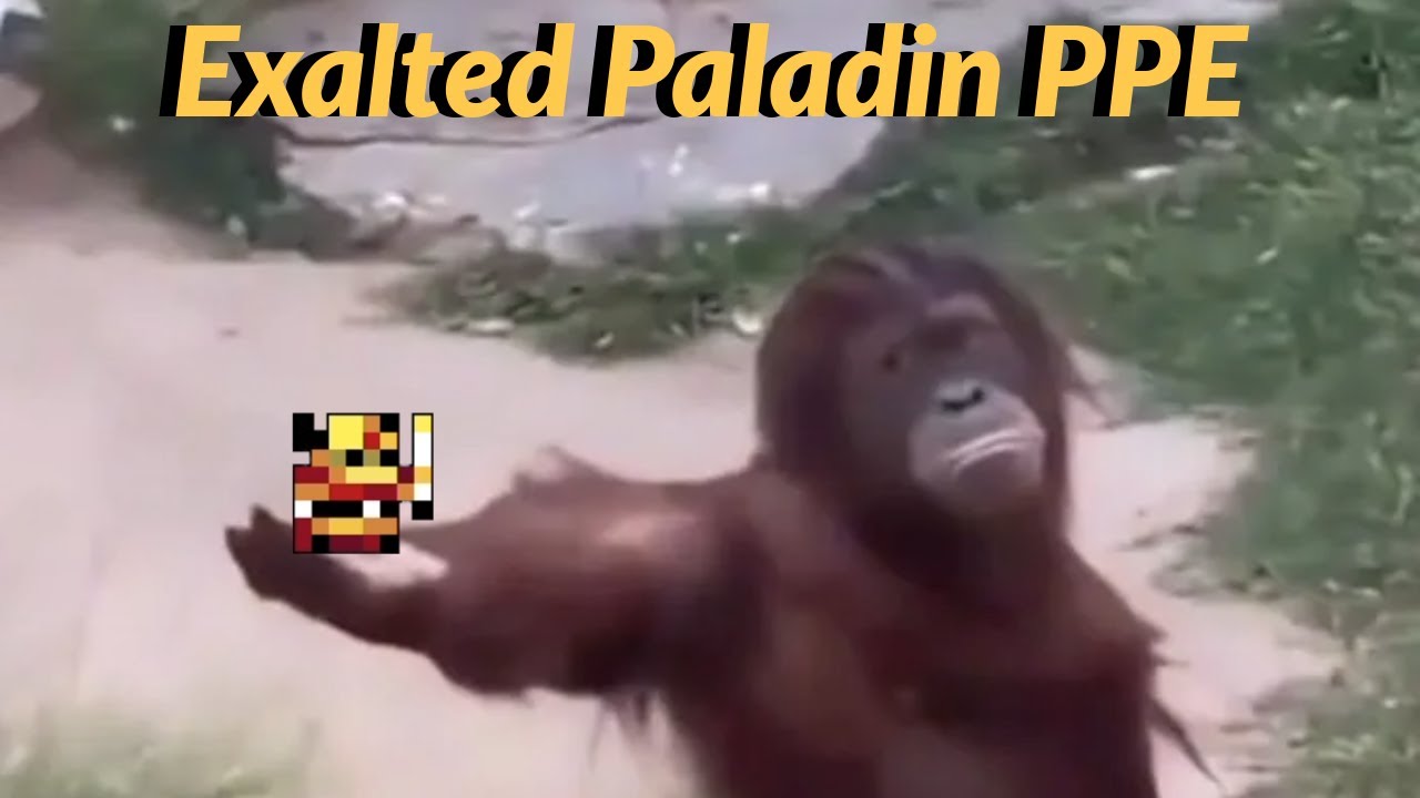 Top 100 Exalted Paladin PPE | RotMG