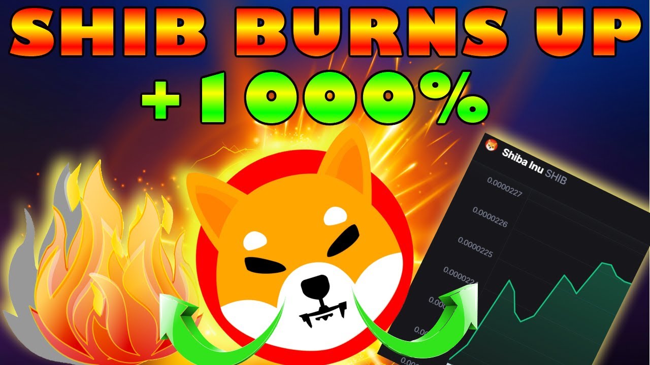 Shiba Inu BURNS RAMP UP 1000% As Shibarium Nears