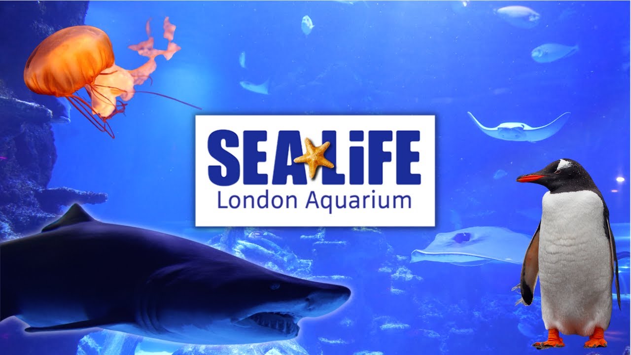 Sea Life London Aquarium - Complete Tour