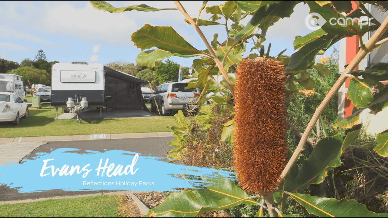 Discover Evans Head Caravan Park