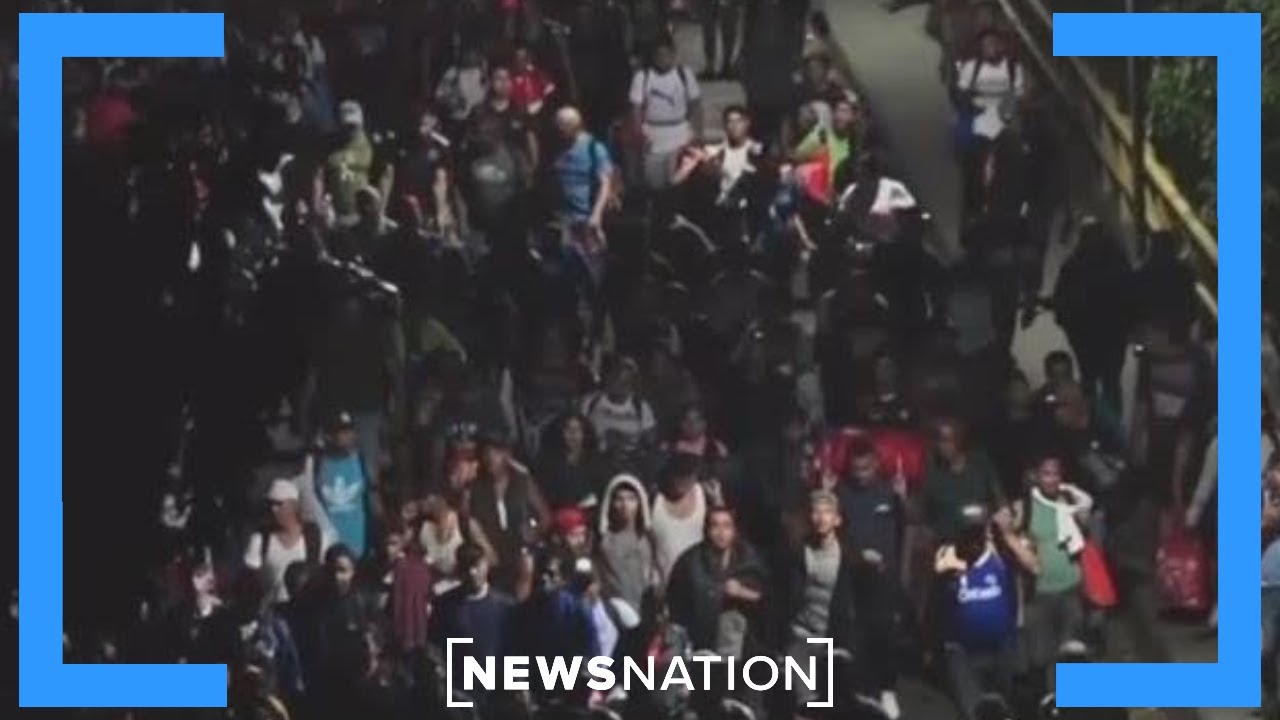New migrant caravan heads toward US | NewsNation Now
