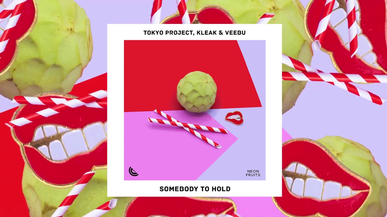 Tokyo Project , Kleak & Veebu - Somebody To Hold