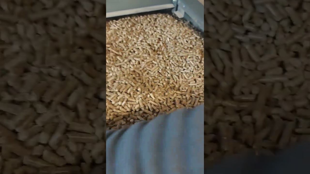 CARICO #caldaia #pellet #caldaiapellet #biotech