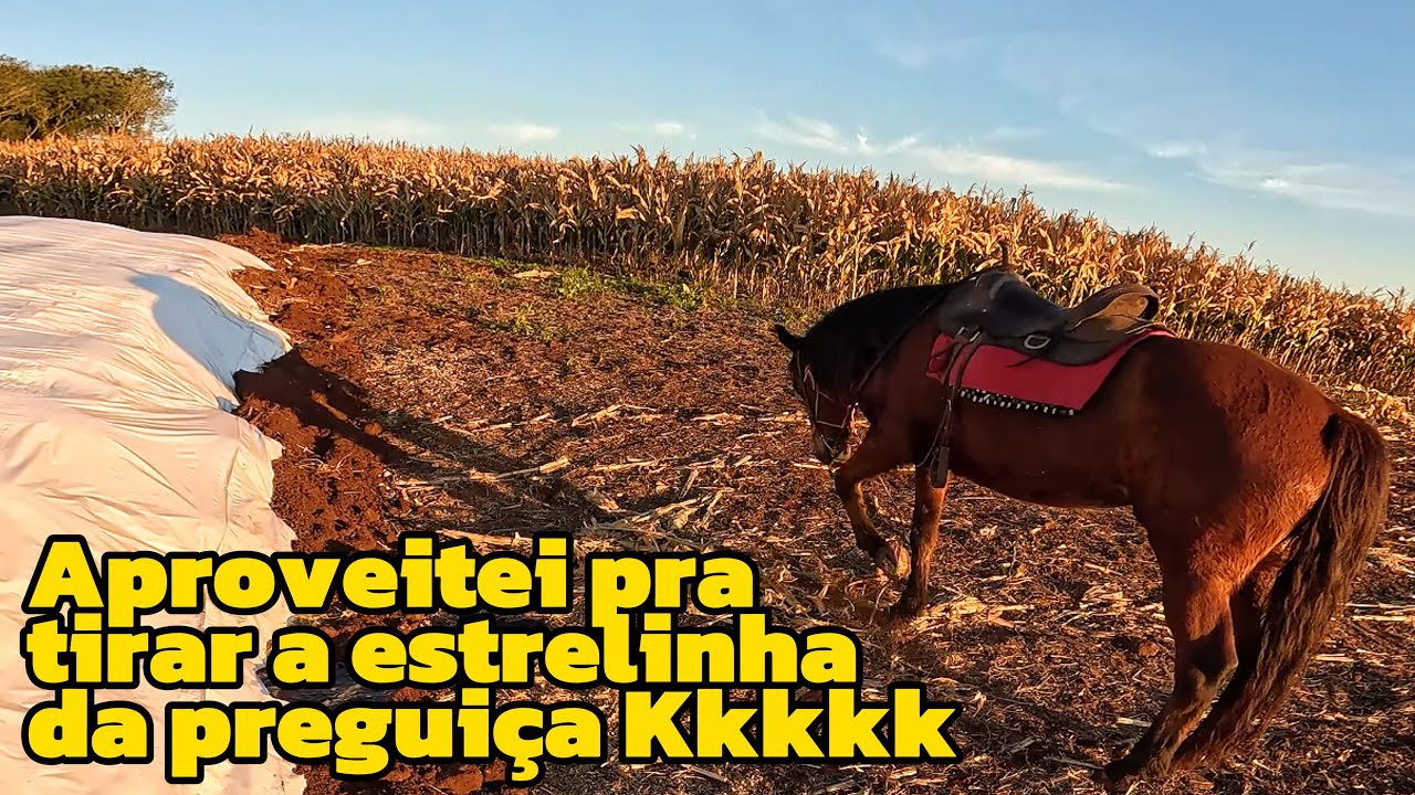 Tive que voltar nos silos arrumar os buracos que eu fiz 