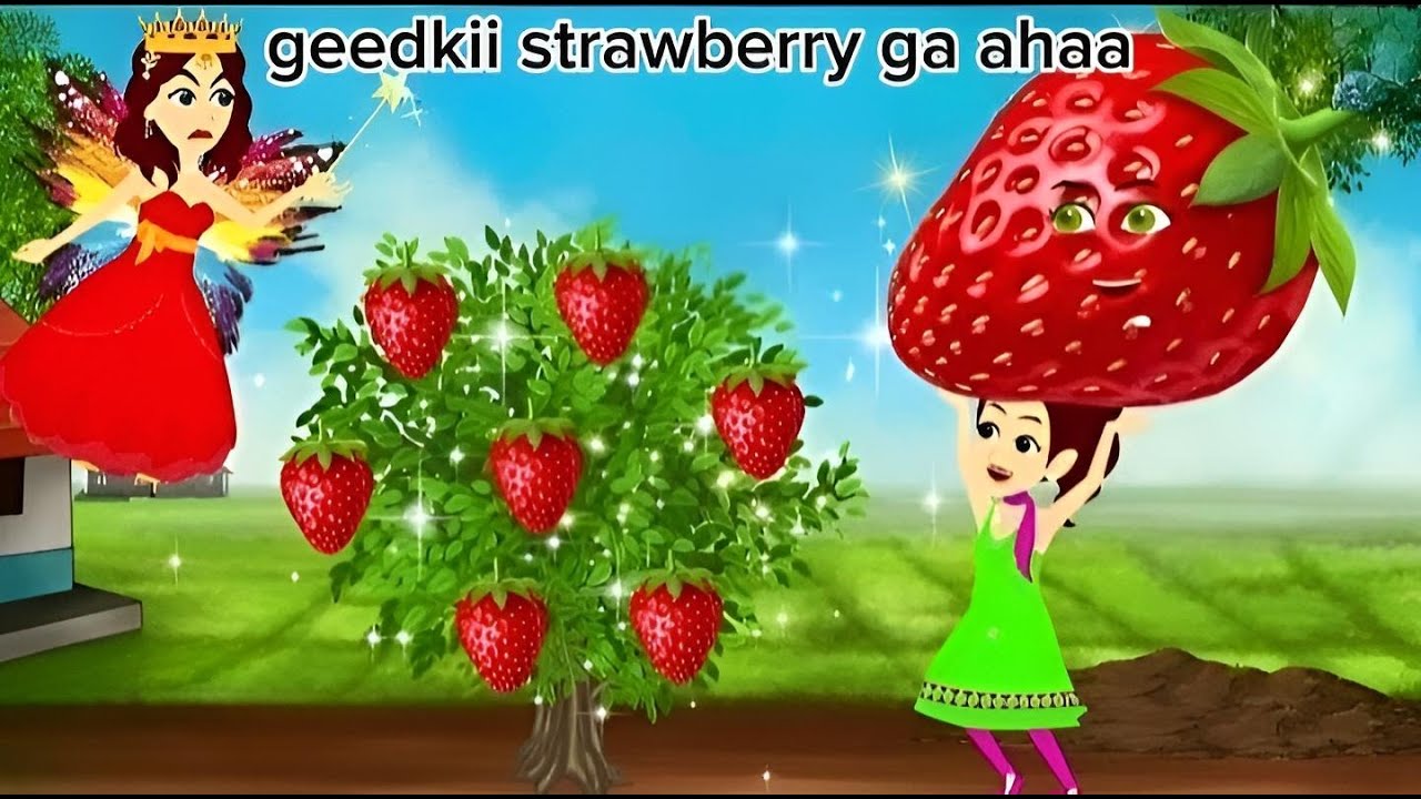 Geedkii strawberry ga ahayd