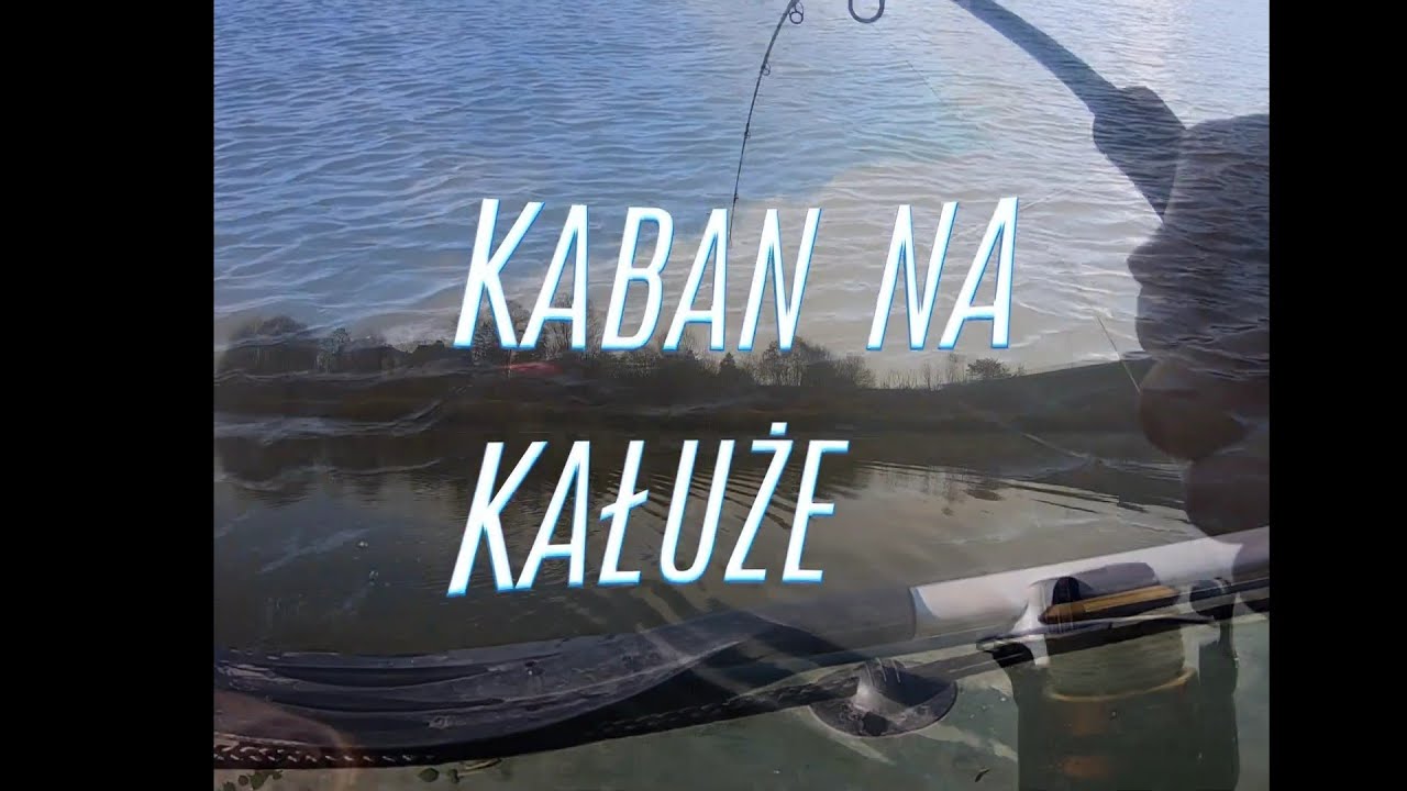 Piękny Sum na wobler od Artur Kałuża KABAN NA TROLLING