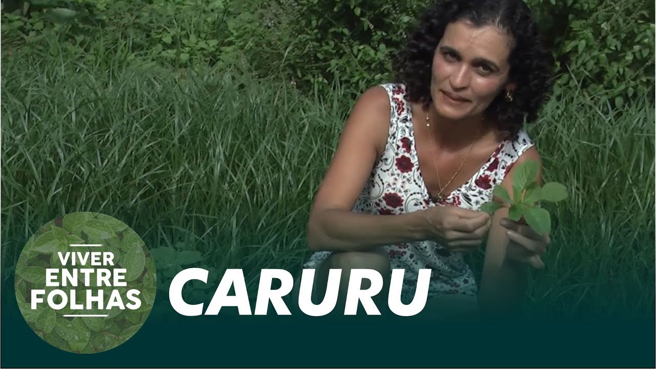 O Caruru na culinária - Viver Entre Folhas (1ª Temporada)