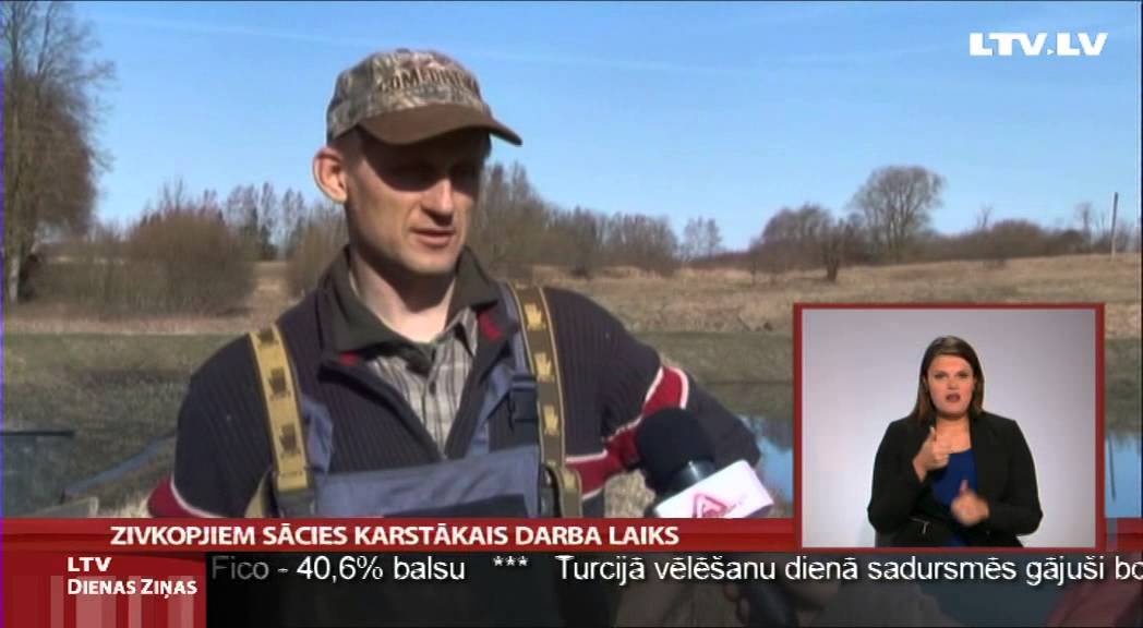 Zivjkopjiem sācies karstākais darba laiks
