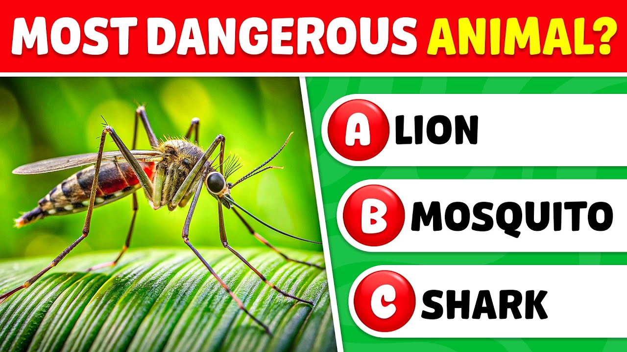 General Knowledge Questions About Animals! 🦁🧠😎 50 Trivia Questions | Knowlio