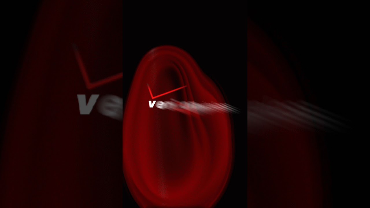 LG Exalt (VN360) - Startup and Shutdown (with animation, Verizon Wireless)