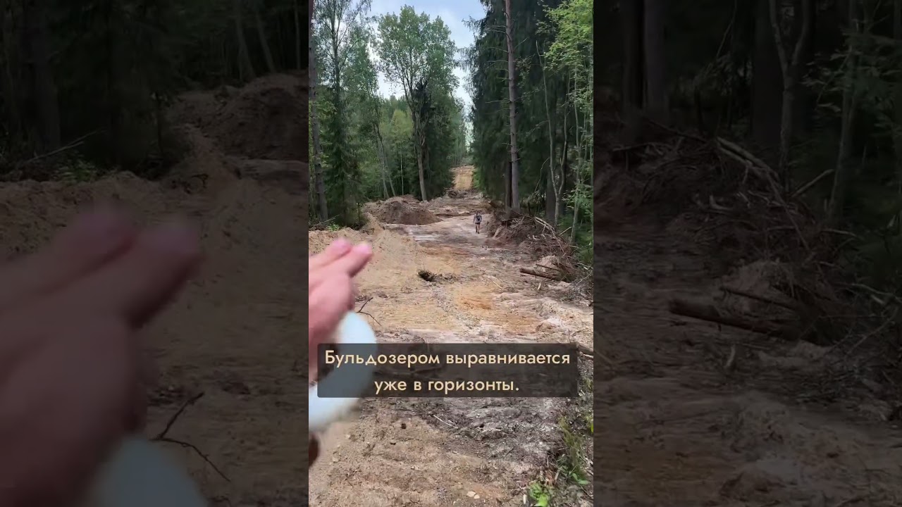 Строим крепкую дорогу в лесу  #спб #строительстводорог