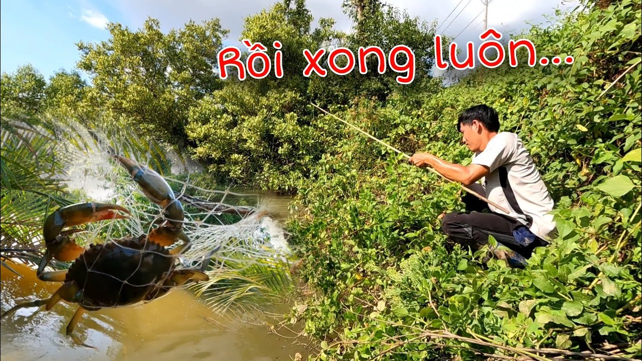Kéo con Cua khủng hồi hợp không thở nổi và cái kết | GĐCG #1033