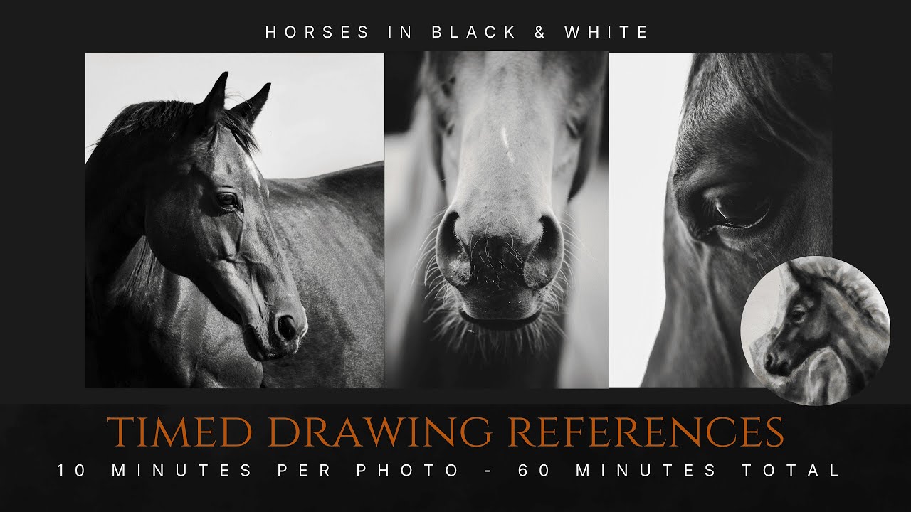 Timed drawing references of horses. 10 minutes per photo - 60 minutes total.