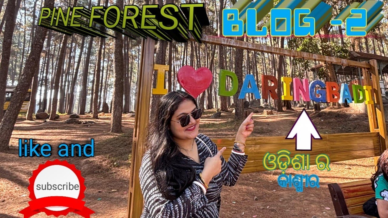 Daringibadi tour to pine forest (ଝାଉଁ ବଣ )😆😆😆|| pine forest tour details.....
