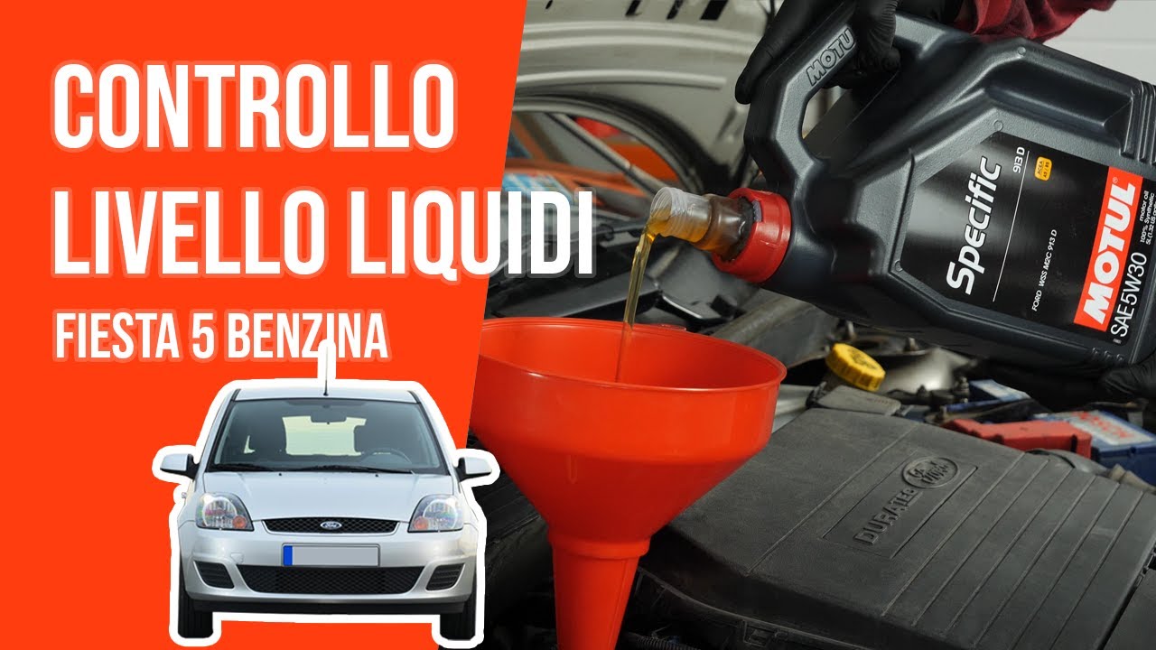 Controllo e rabbocco livello liquidi Fiesta 5 1.3 DURATEC 📏