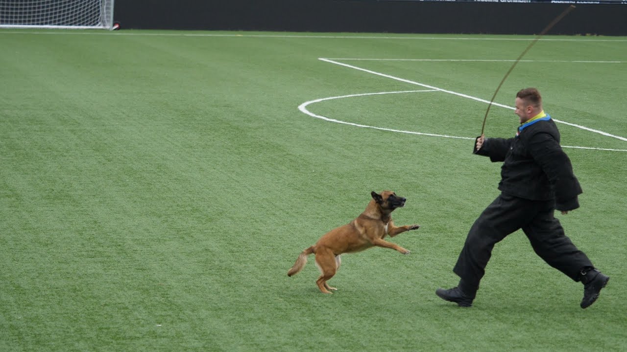 Nationale Kampioenschappen KNPV 2023