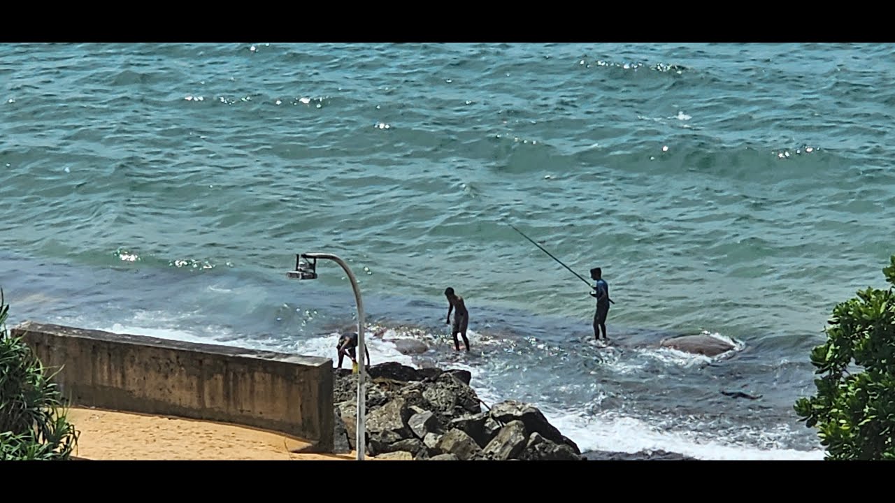 Fishing with natural materials