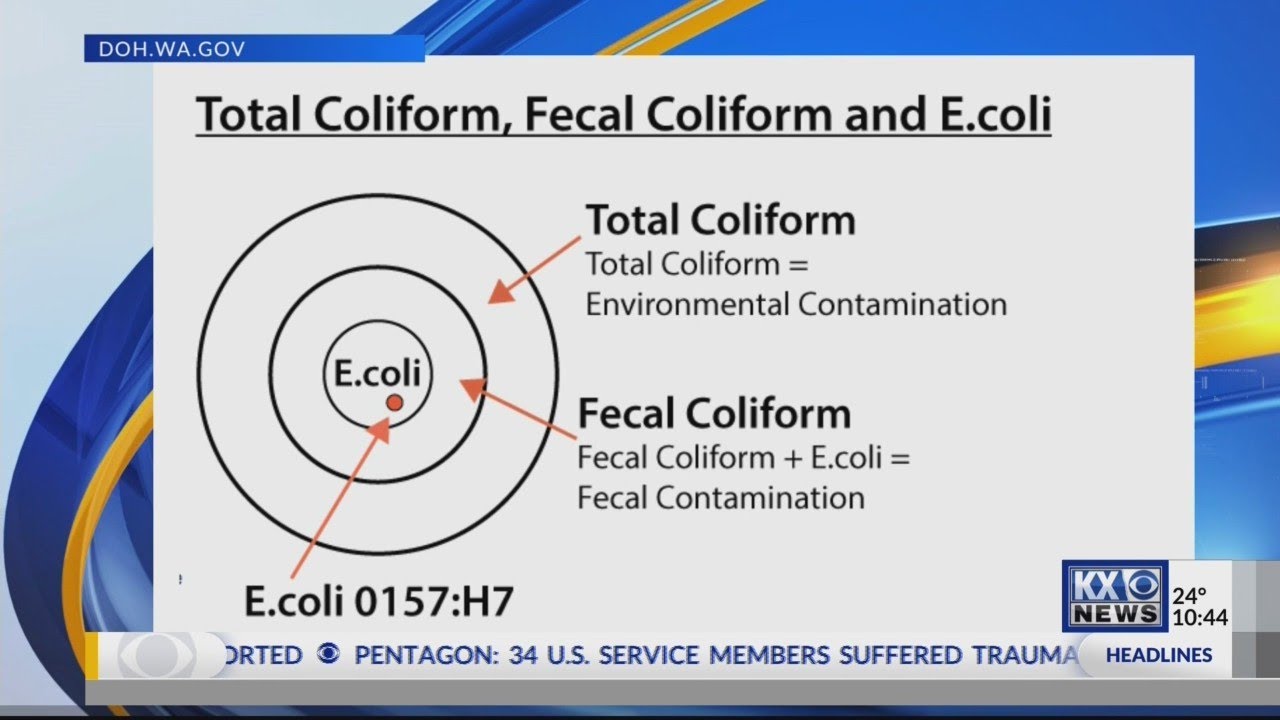 About Coliform