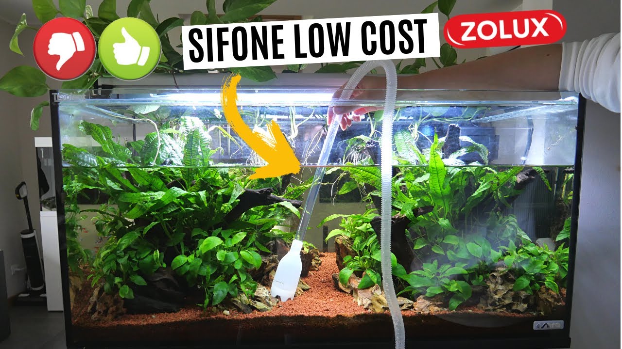 SIFONE super LOW COST per pulire il fondo dell'acquario 💦 Testiamolo