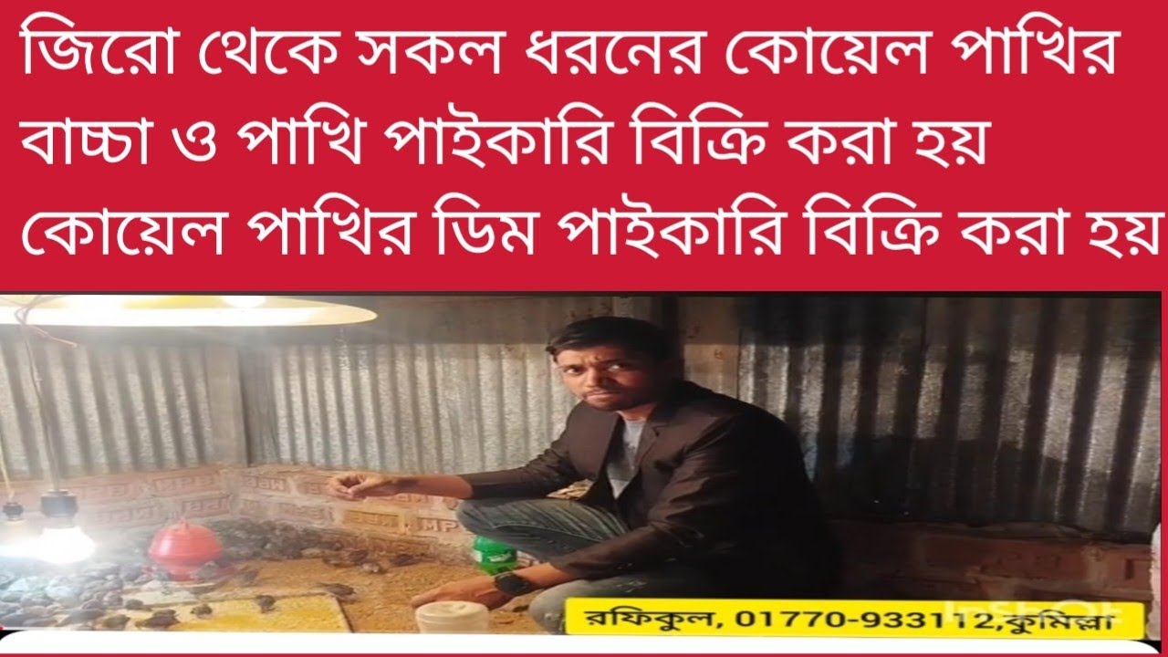 সব ধরনের কোয়েল পাখির বাঁচা, পাখি, ডিম পাইকারি ও খুচরা সরবরাহ হয়। বাচ্চা ব্রডিং করা হয়।