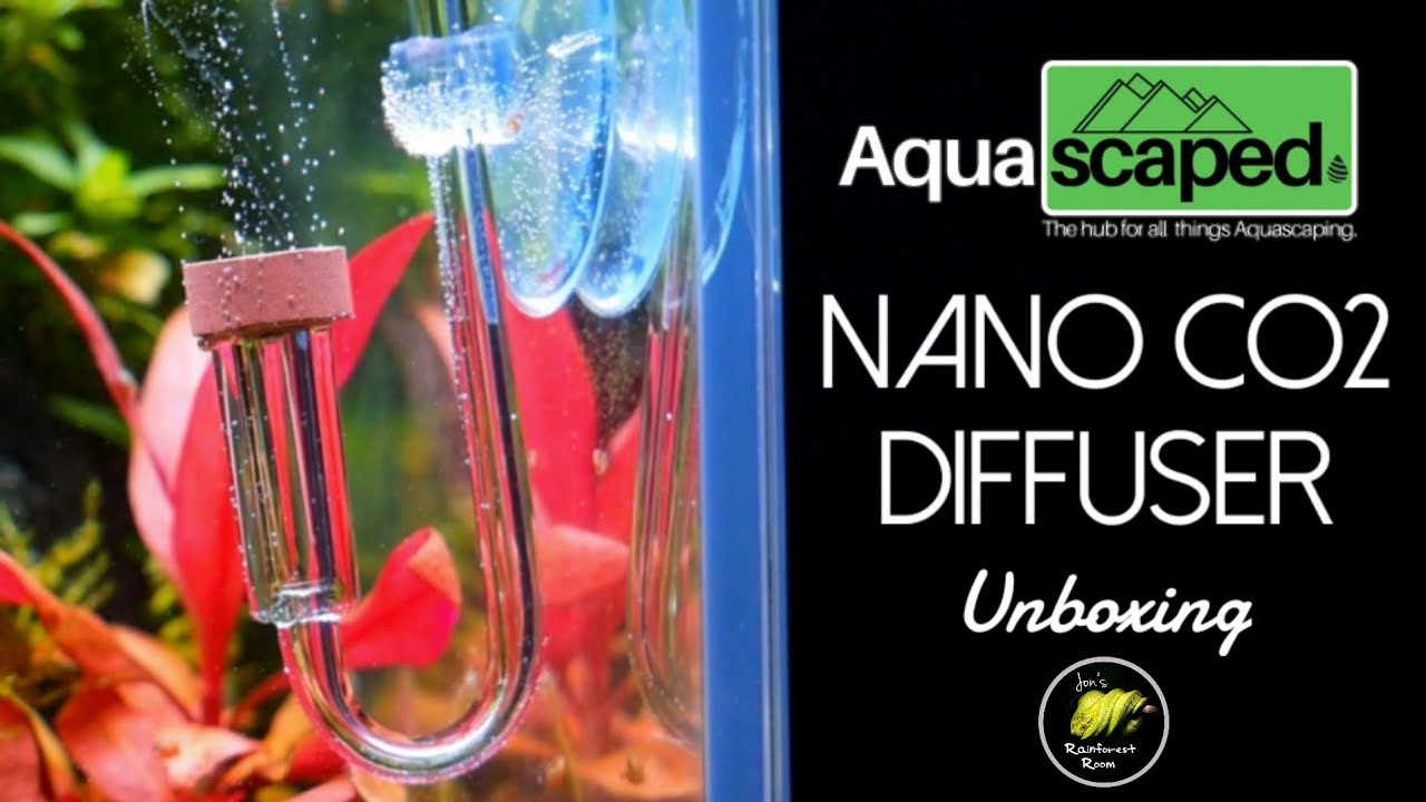 Nano CO2 Diffuser & Glass Lily Pipe Unboxing From Aquascaped
