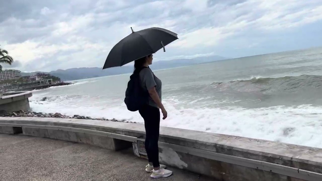 Malecon Puerto Vallarta, Mexico 