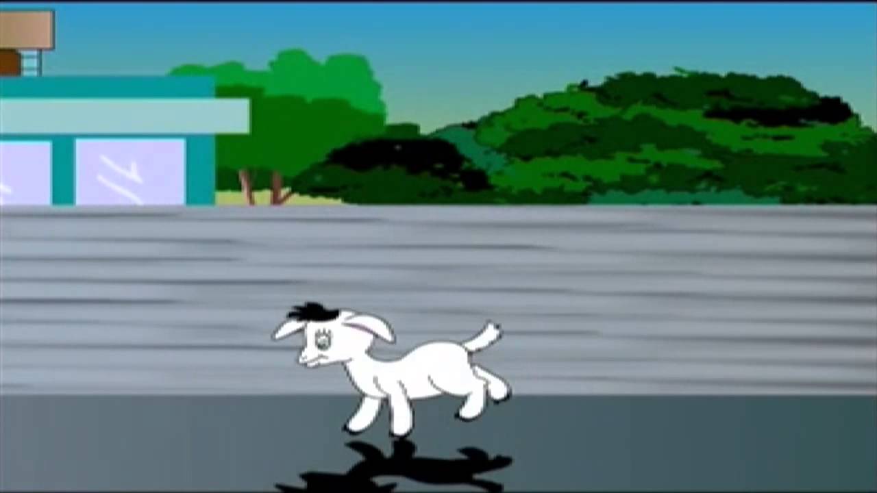 Seethakkundoru Kunjaadu | Animation Song | Pappos