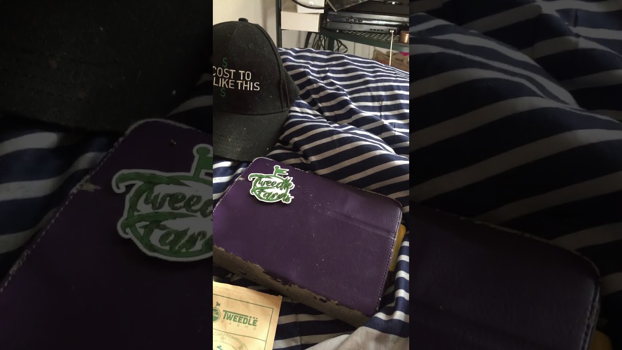 Tweedle farms:review Lifter GH / 🌲 pineberry