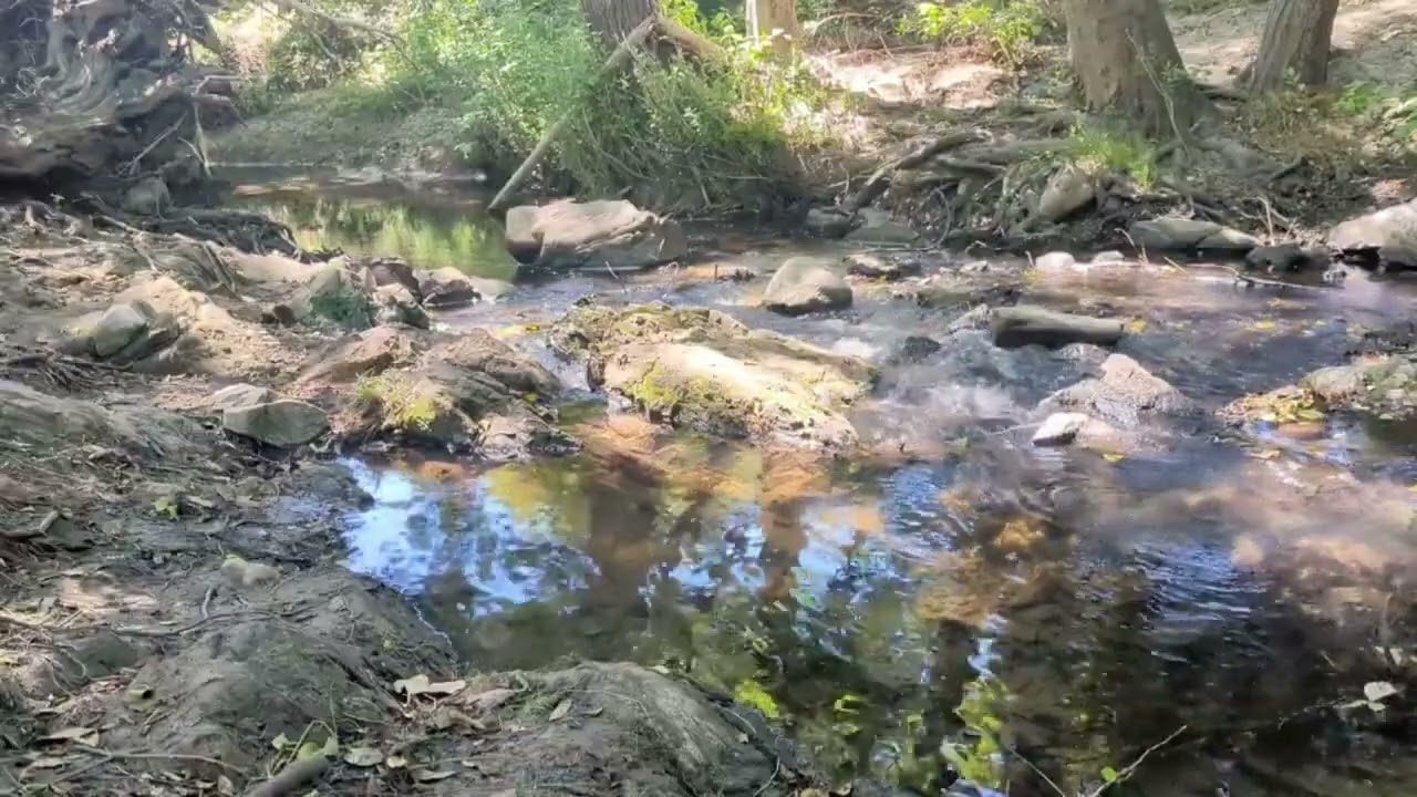 ASMR Creek