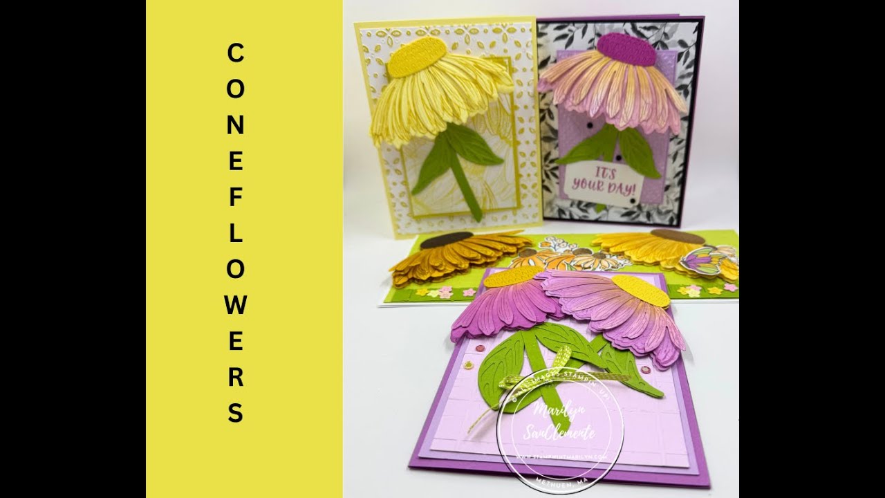 Coneflower Celebrations