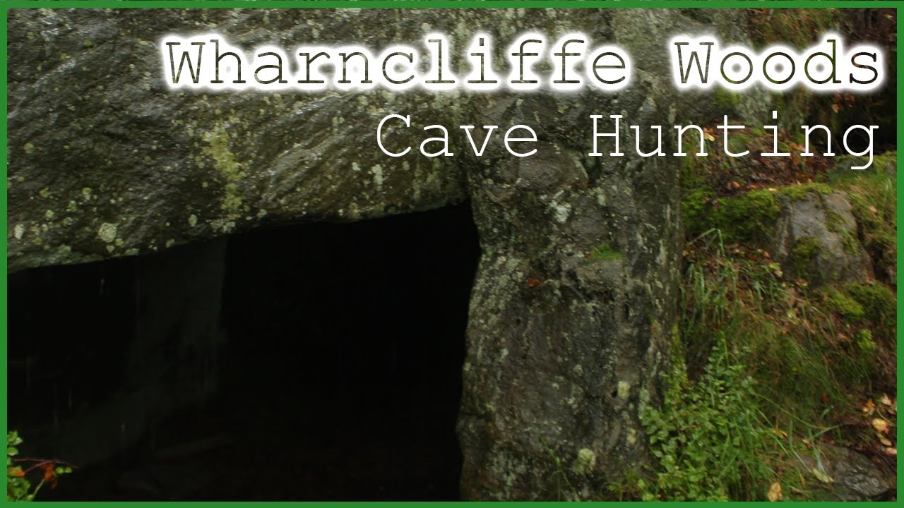 Searching for Caves in Wharncliffe Woods | Dragons Den Cave