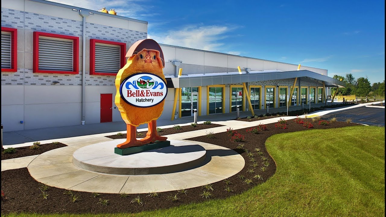 UPDATED Hatchery Tour 2022