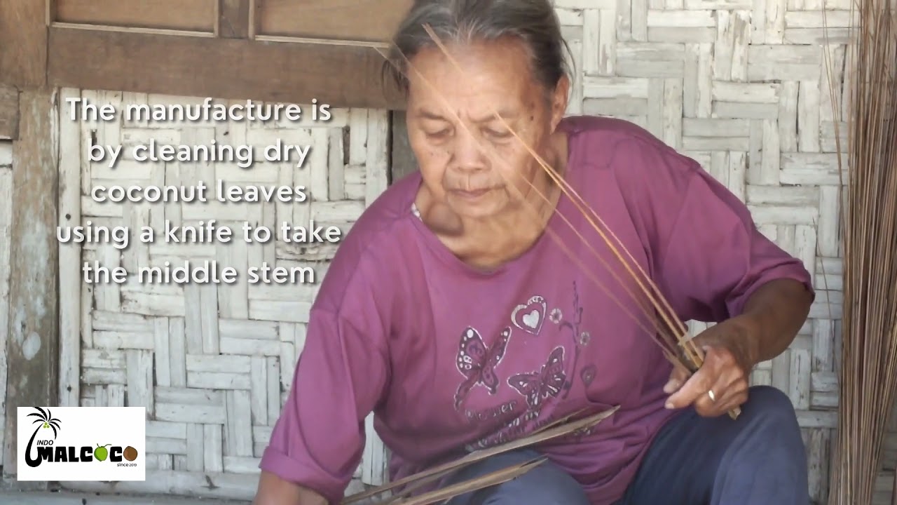 broom stick coconut from indonesia