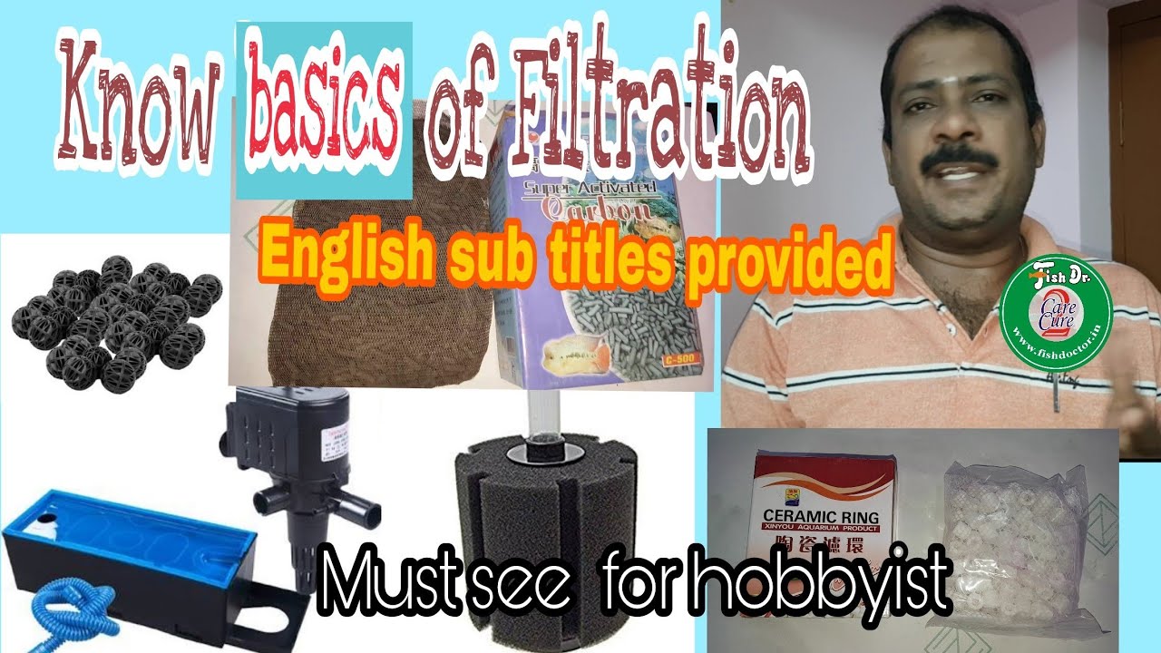 Know basics of Filtration in fish tanks